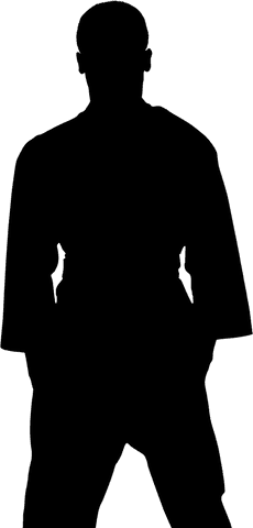 Silhouette of Karate Fighter on Transparent Png Background