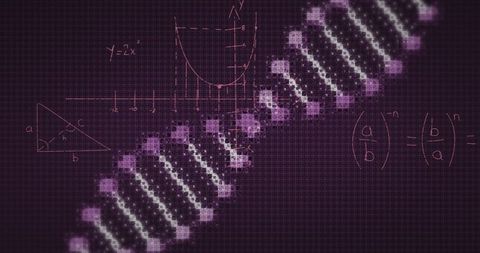 Digital DNA Strand with Mathematical Formulas