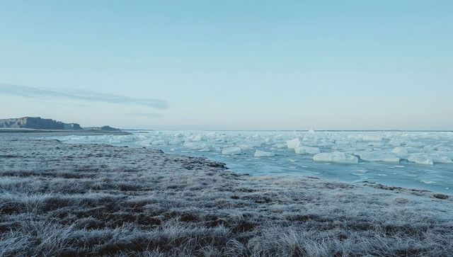 Frosted tundra shoreline stretching into icy sea with scattered ice floes under pale sky
