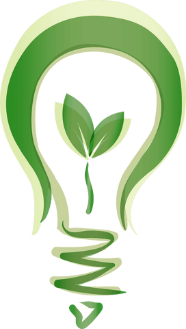 green light bulb with seedling illustration on transparent background - Download Free Stock Videos Pikwizard.com