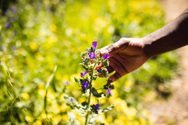 Hand gently touching a vibrant wildflower in a lush forest. Ideal for use in content related to nature, adventure, trekking, travel, and outdoor activities. Perfect for promoting environmental awareness, hiking gear, and travel destinations.