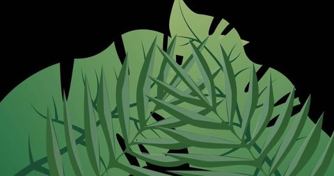 Lush Green Leaves On Black Background Illustrating Nature's Vitality - Download Free Stock Images Pikwizard.com