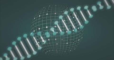 Globe Overlay and DNA Strand with Digital Interface Concept - Download Free Stock Images Pikwizard.com