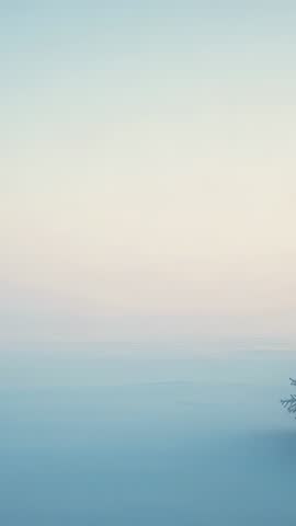 Vertical video of pastel sunrise unfolding over calm horizon with evergreen branch and copy space
