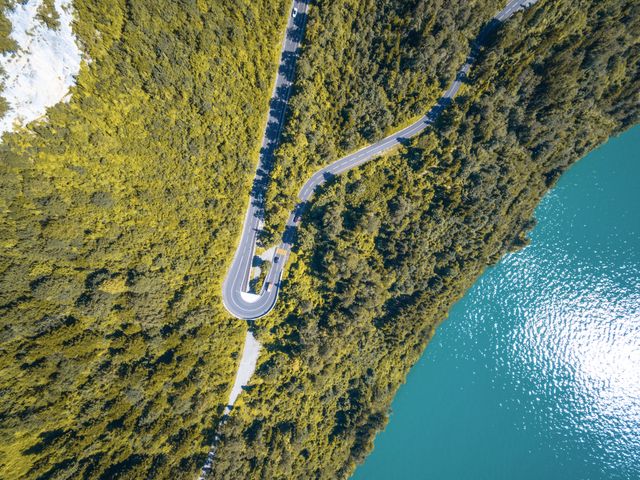 Aerial View of Curved Road Between Green Leaf Trees Near Ocean - Download Free Stock Photos Pikwizard.com