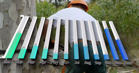 Arborist chainsawing tree with 3d analytics chart overlay