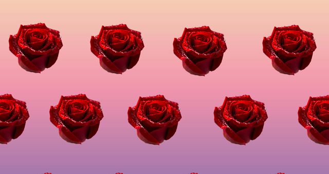 Rows of Red Roses on Pastel Pink Gradient Background - Download Free Stock Images Pikwizard.com