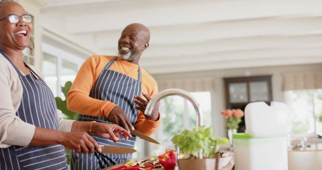 Senior African American Couple Cooking Together in Bright Modern Kitchen - Download Free Stock Images Pikwizard.com