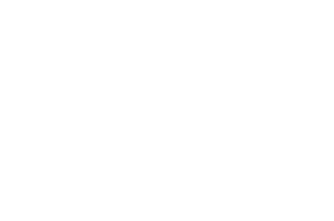 Digital Floral Pattern Rows on Transparent Background - Download Free Stock Videos Pikwizard.com