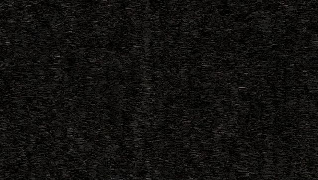 Grainy static with horizontal digital interference