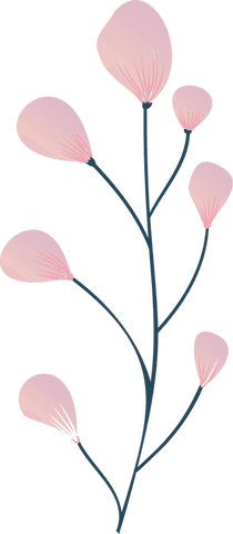 Elegant transparent botanical design with pink gradient buds