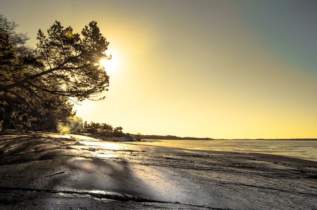 Sunlight shines over rocky beach with trees in warm tones during golden hour. Ideal for nature and travel themes, conveying tranquility and beauty of coastline. Suitable for websites, blogs, or promotional material related to outdoor activities, relaxation, and scenic destinations.