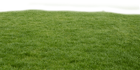 transparent green grass landscape on transparent background - Download Free Stock Videos Pikwizard.com