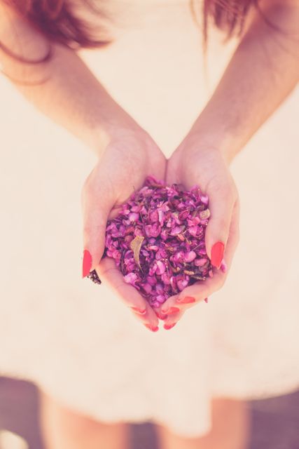 Hands cupped together holding a handful of pink flower petals with red-painted nails. Image can be used for themes related to romance, nature, beauty, weddings, and femininity. Ideal for floral advertisements, romantic cards, beauty and skincare promotions.