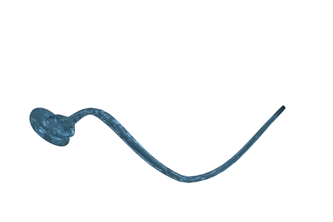 illustration of transparent sperm cell with detailed texture - Download Free Stock Videos Pikwizard.com
