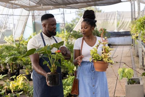 African american nursery staff advising woman shopper in greenhouse holding potted plants