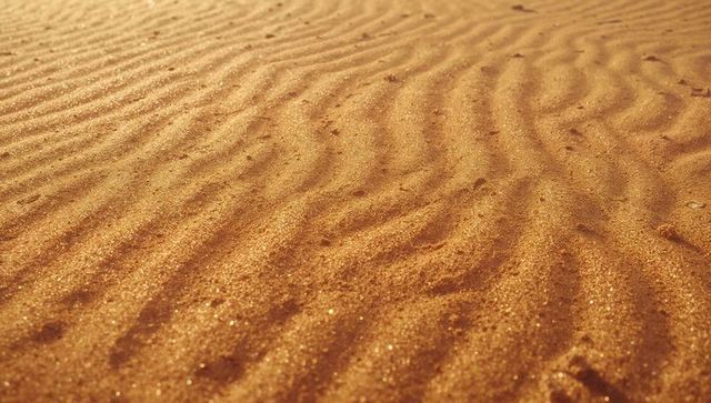 Sand Dunes with Golden Ripples in Sunlit Desert