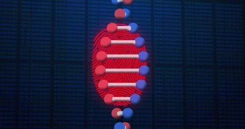 Digital Fusion of DNA Sequence and Fingerprint Data