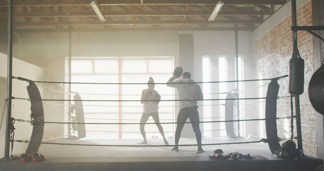 Two Boxers Sparring in Sunlit Industrial Gym - Download Free Stock Images Pikwizard.com