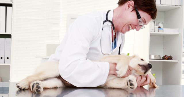 Veterinarian is examining a happy puppy on a clinic table. Ideal for use in articles and promotions related to pet healthcare, veterinary services, animal well-being, and veterinary clinics.