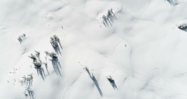 Aerial view of a snowy landscape with ski tracks. The serene white expanse is marked by the adventurous paths of skiers.