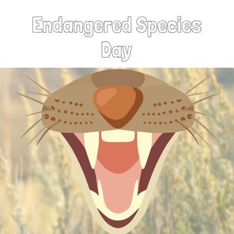awareness for endangered species day call to action - Download Free Stock Templates Pikwizard.com