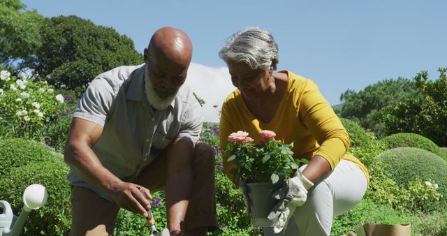 African american senior couple gardening together in the garden on a bright sunny day - Download Free Stock Photos Pikwizard.com