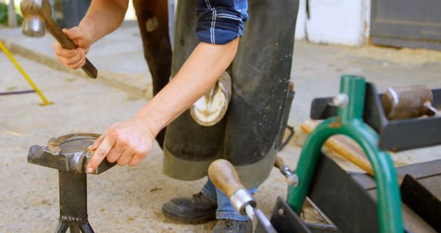 Blacksmith Shoeing Horse Stable Working - Download Free Stock Images Pikwizard.com