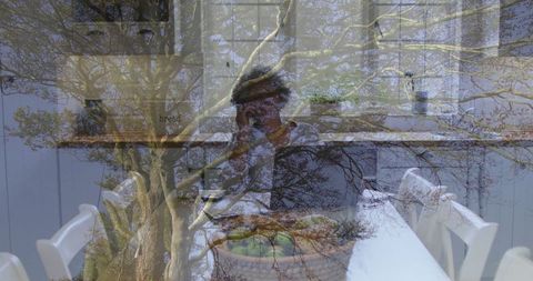 Modern Kitchen Interior with Tree Overlay and Woman Talking on Phone