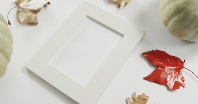 Flat lay of empty picture frame surrounded by autumn leaves and pumpkins on white background, perfect for seasonal design projects, holiday promotions, or DIY decoration ideas for fall and Thanksgiving.
