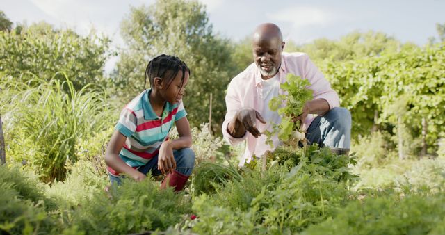 Elderly man bonding with young girl while teaching her how to garden in a lush vegetable garden. Useful for themes of family bonding, education, outdoor activities, mentorship, and multi-generational relationships. Perfect for illustrating summer activities, horticulture, and environmental education.
