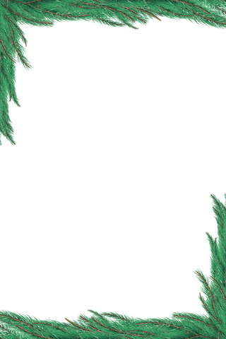 transparent fir tree branch frame with green needles - Download Free Stock Videos Pikwizard.com