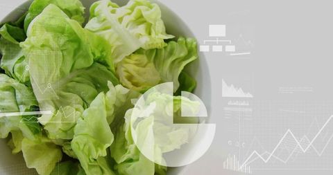 Butterhead lettuce showing nutritional data overlay and analytics charts minimal flatlay