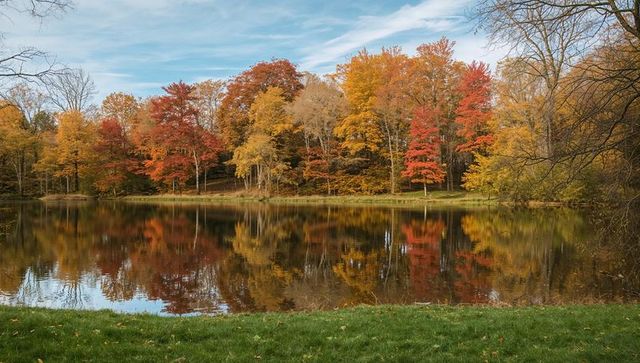 Tranquil autumn trees reflecting on serene pond