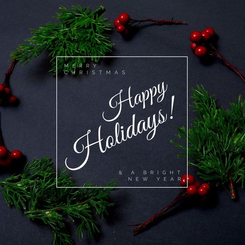 festive holiday greeting with evergreen and red berries - Download Free Stock Templates Pikwizard.com
