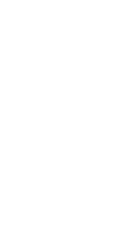 silhouette of strong woman on transparent background - Download Free Stock Videos Pikwizard.com
