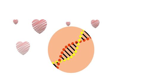 Digital DNA Structure with Floating Hearts Concept - Download Free Stock Images Pikwizard.com