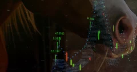 Cow's Breathing Syncs with Vibrant Market Data Animation