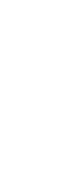 Silhouette of Male Martial Artist on Transparent Background Isolated - Download Free Stock Videos Pikwizard.com