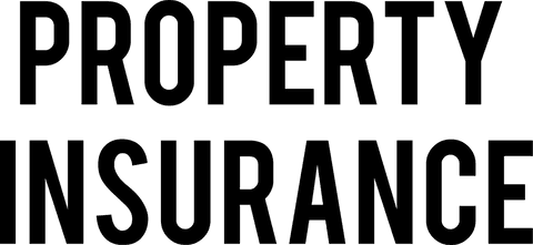 Property Insurance Text on Transparent Background - Download Free Stock Videos Pikwizard.com