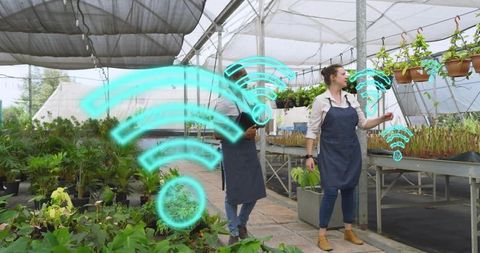 Greenhouse workers monitoring smart plants with tablet and wifi connectivity visuals