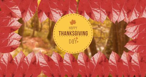 Thanksgiving Greeting Card with Autumn Leaves and Forest Background - Download Free Stock Images Pikwizard.com