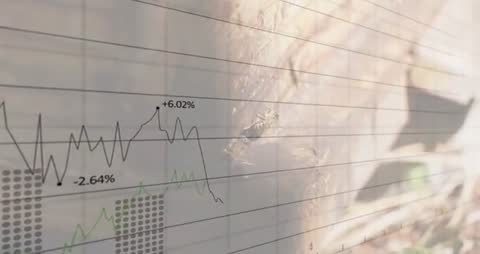 Dynamic Stock Market Trends Amidst Lush Environment
