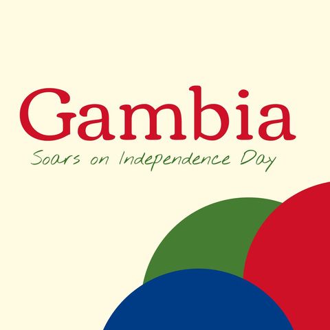 Gambia independence day celebration with bold text and vibrant elements