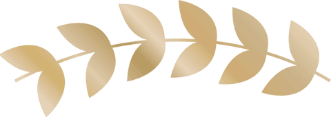 gold laurel branch on transparent background with metallic design - Download Free Stock Videos Pikwizard.com