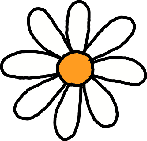 Hand-Drawn Daisy Flower with Transparent Background
