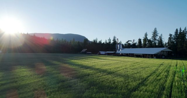 Beautiful morning scene with sunlight shining over a lush green farm field, with farm buildings including a silo set against a backdrop of trees and distant mountains. The scene evokes a sense of tranquility and connection with nature, perfect for use in agricultural promotions, nature conservation campaigns, or rural lifestyle blogs.