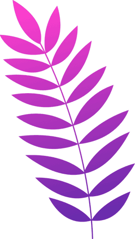 Transparent Fern Leaf with Vibrant Pink-Purple Gradient