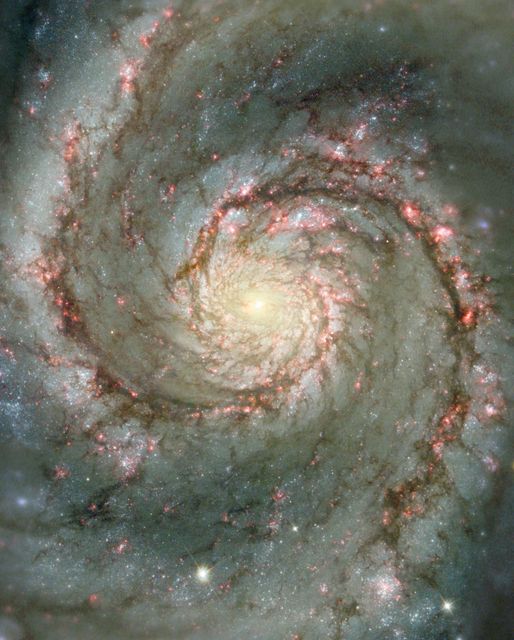 Stunning view of a spiral galaxy showcasing bright stars and nebulae. Ideal for use in educational materials, science presentations, astronomy websites, and space-themed artworks, this image captivates with the beauty and complexity of the universe.