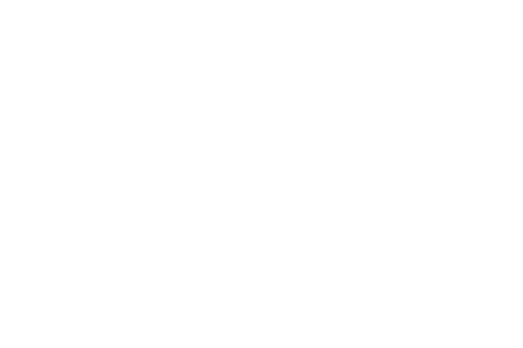 Silhouette of Hands Holding 'Organization' Word on Transparent Background - Download Free Stock Videos Pikwizard.com